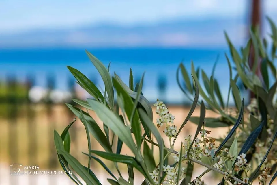 Starry Coast Apartments Nea Poteidaia